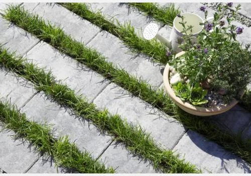 Šedá vegetační dlažba s pruhem trávy mezi kostkami.