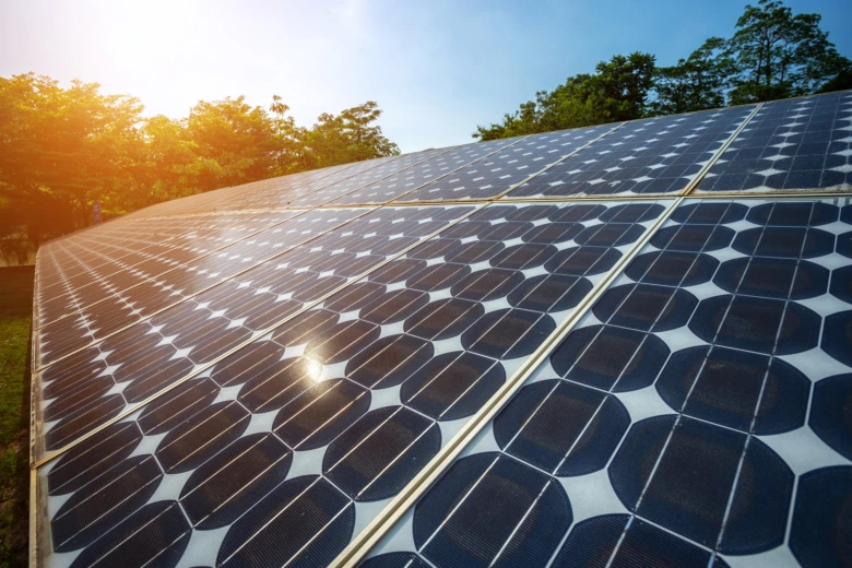Fotovoltaické panely v slunečním světle na pozadí stromů.