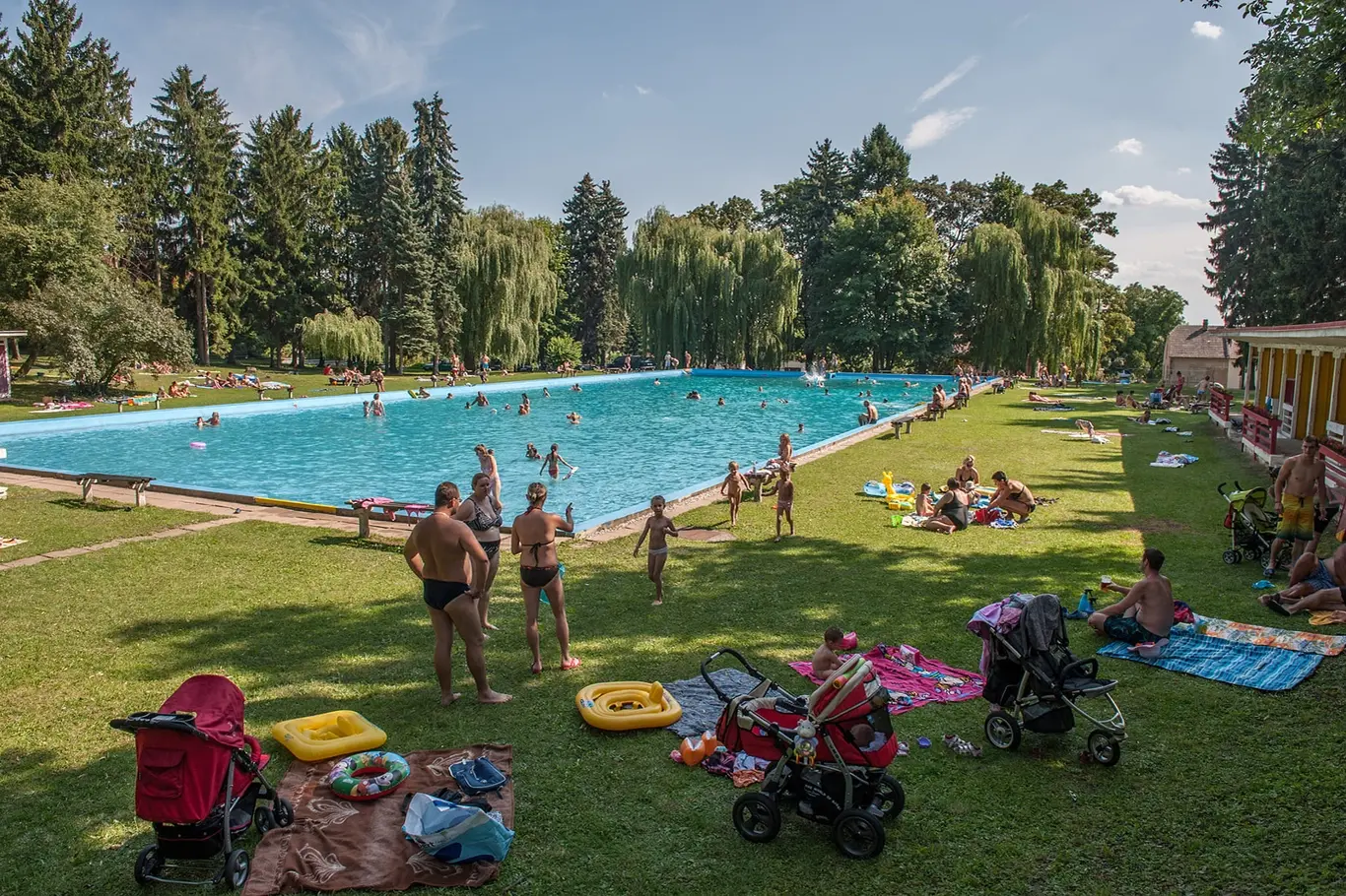 Venkovní bazén ve Všejanech s lidmi plavajícími na trávníku.