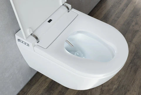 Smart toilet with bidet seat