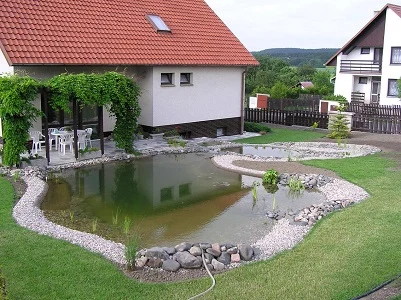 Přirozené koupací jezírko s rostlinami a kameny v zahradě.