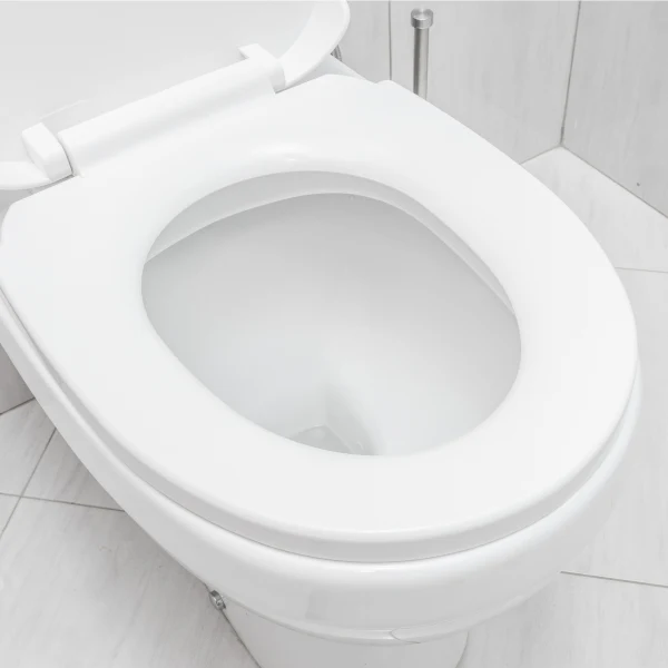 White toilet bowl with seat