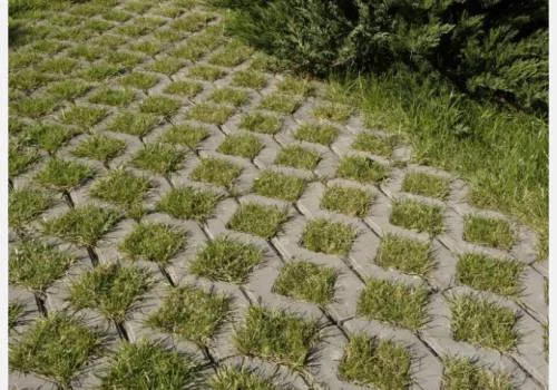 Vegetační dlažba s rostoucí trávou v betonových mřížkách.